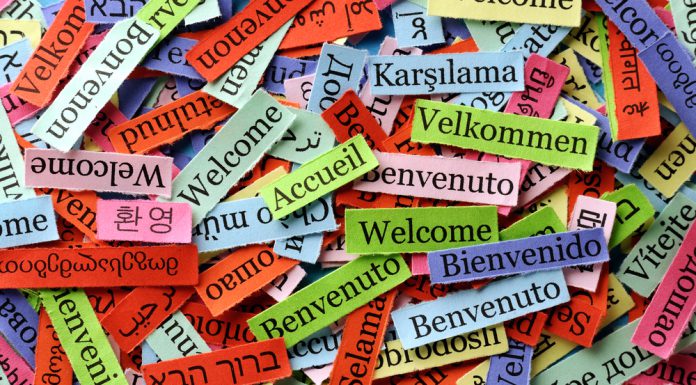 Wat kan je leren bij een online taalprogramma? taalprogramma