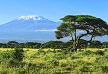 De Kilimanjaro berg kilimanjaro