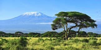 De Kilimanjaro berg kilimanjaro