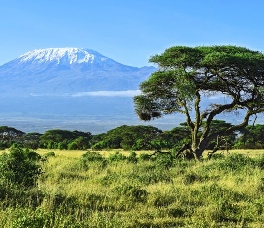 De Kilimanjaro berg kilimanjaro